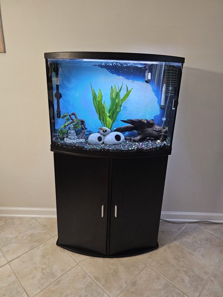 36 Gallon Bow Front Fish Tank And Filter