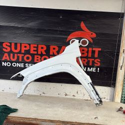 2021 TRX Fender Driver Side OEM 2024 