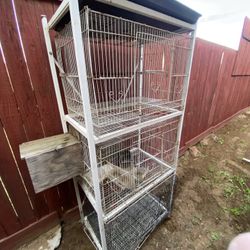 Bird Cage