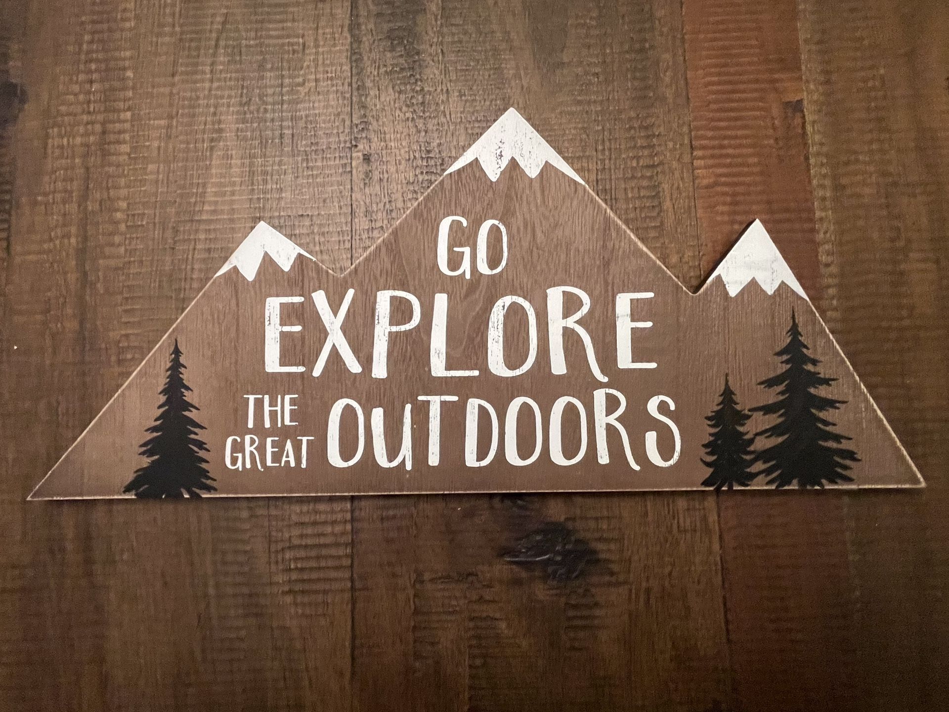 NEW Go Explore the Great Outdoors Wall Decor