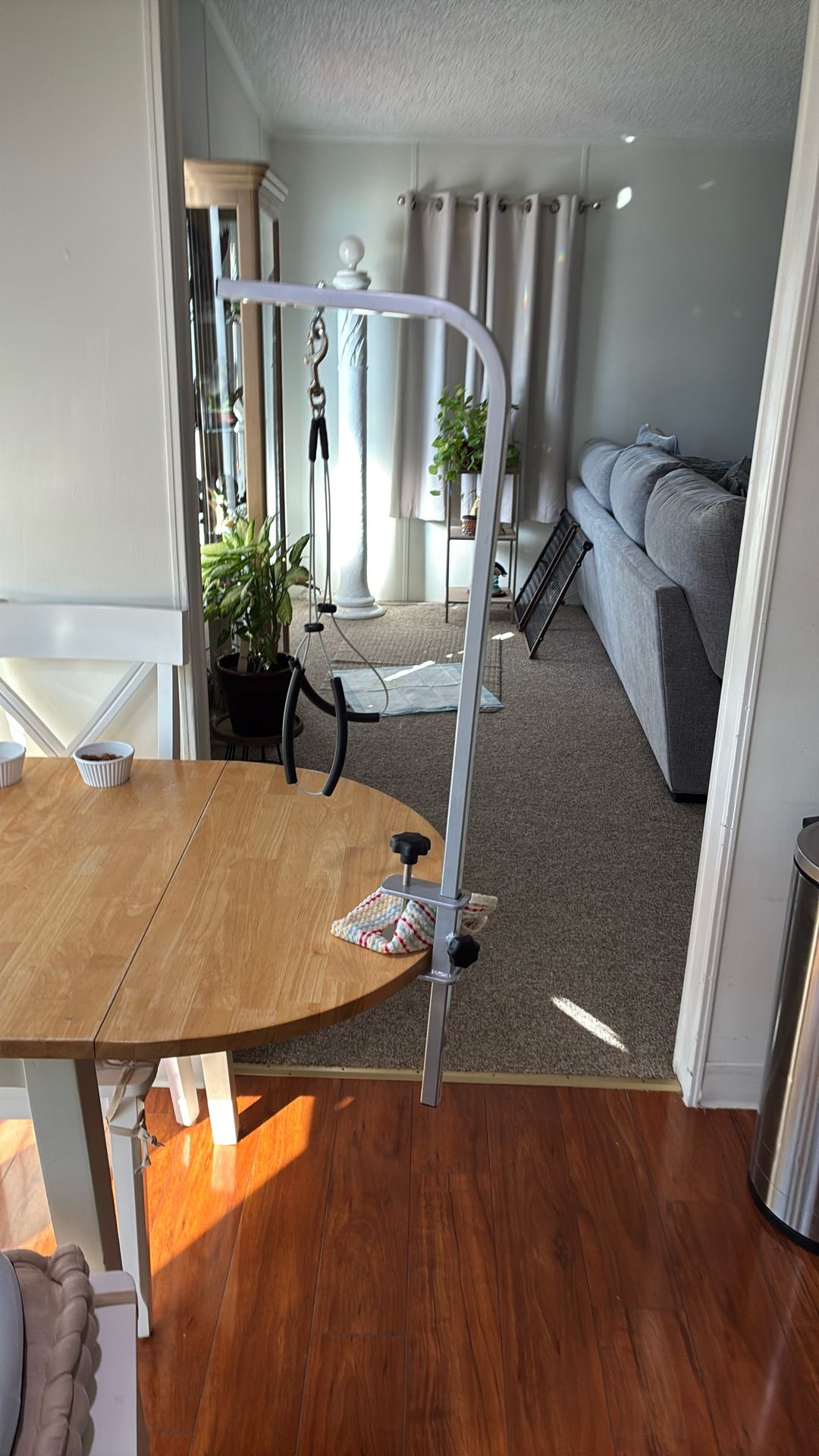 Dog Harness For Grooming. 