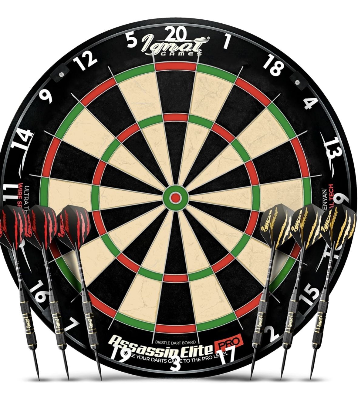 Professional Dart Board