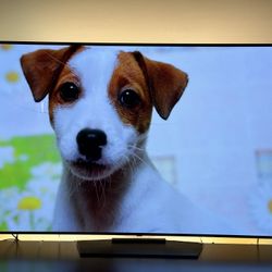 Premium LG B7 65” OLED 4K TV w/ Remote