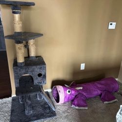 Cat Tower And Cat Tunnel 