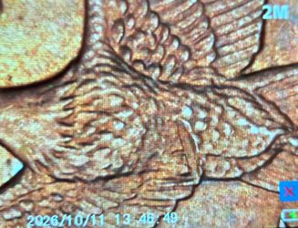 2000 P Sacagawea Dollar - Wounded Eagle