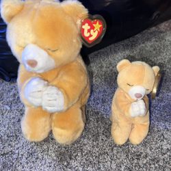 The Beanie Buddies Collection 1999’