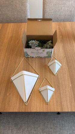 Faux succulents and wall planter set