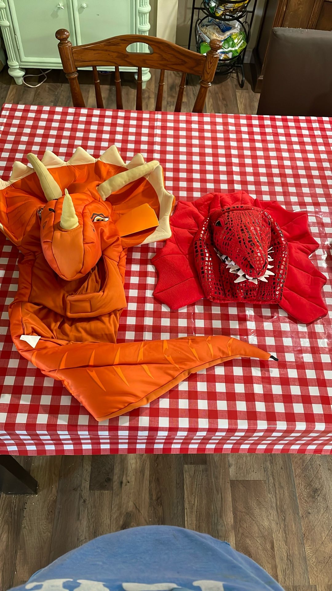 Costume Dragón Dinosaurio 🦖