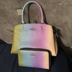 Coach Purse and wallet