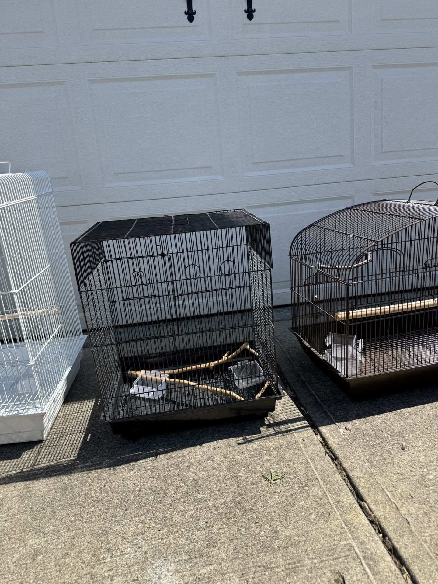 Bird Cages