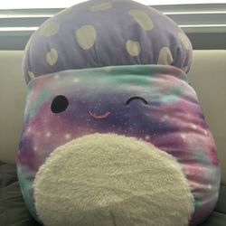 Squishmallow 