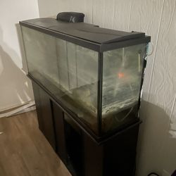 Top Fin Fish Tank 