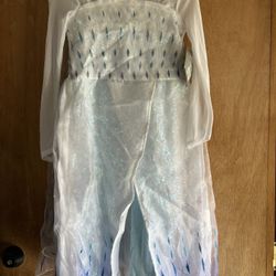 Disneyland Theme Park Queen Elsa costume/dress