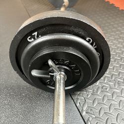 Standard Curl Bar W/Weight Plates: 25s, 10s and 5s pounders. 85# Brute W.