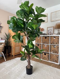 6ft Faux Fiddle Fig tree