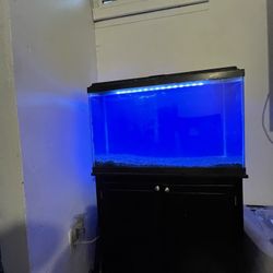 Fish Tank With Stand