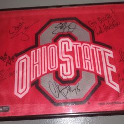 Ohio State Signatures On Mini Flag