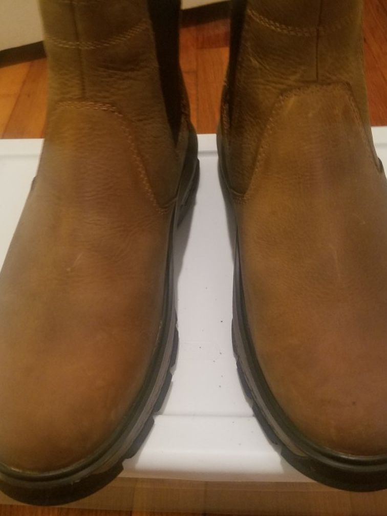 Cat Chelsea boot. Size 10.5