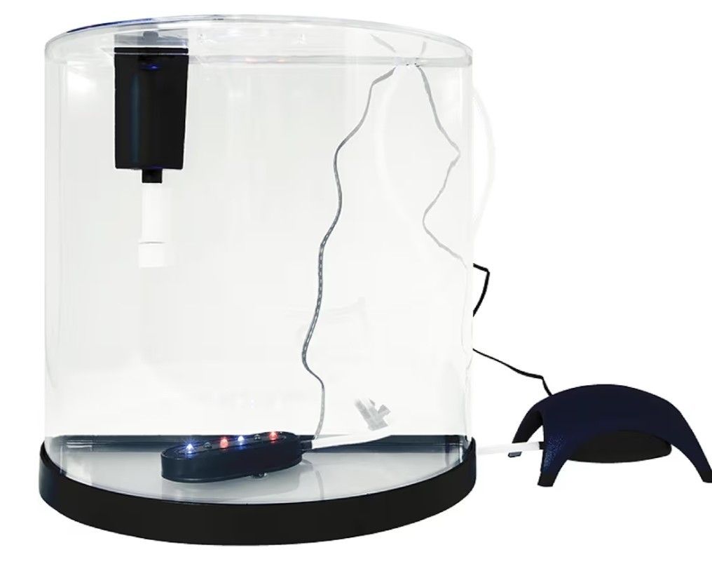 Small Fish Tank