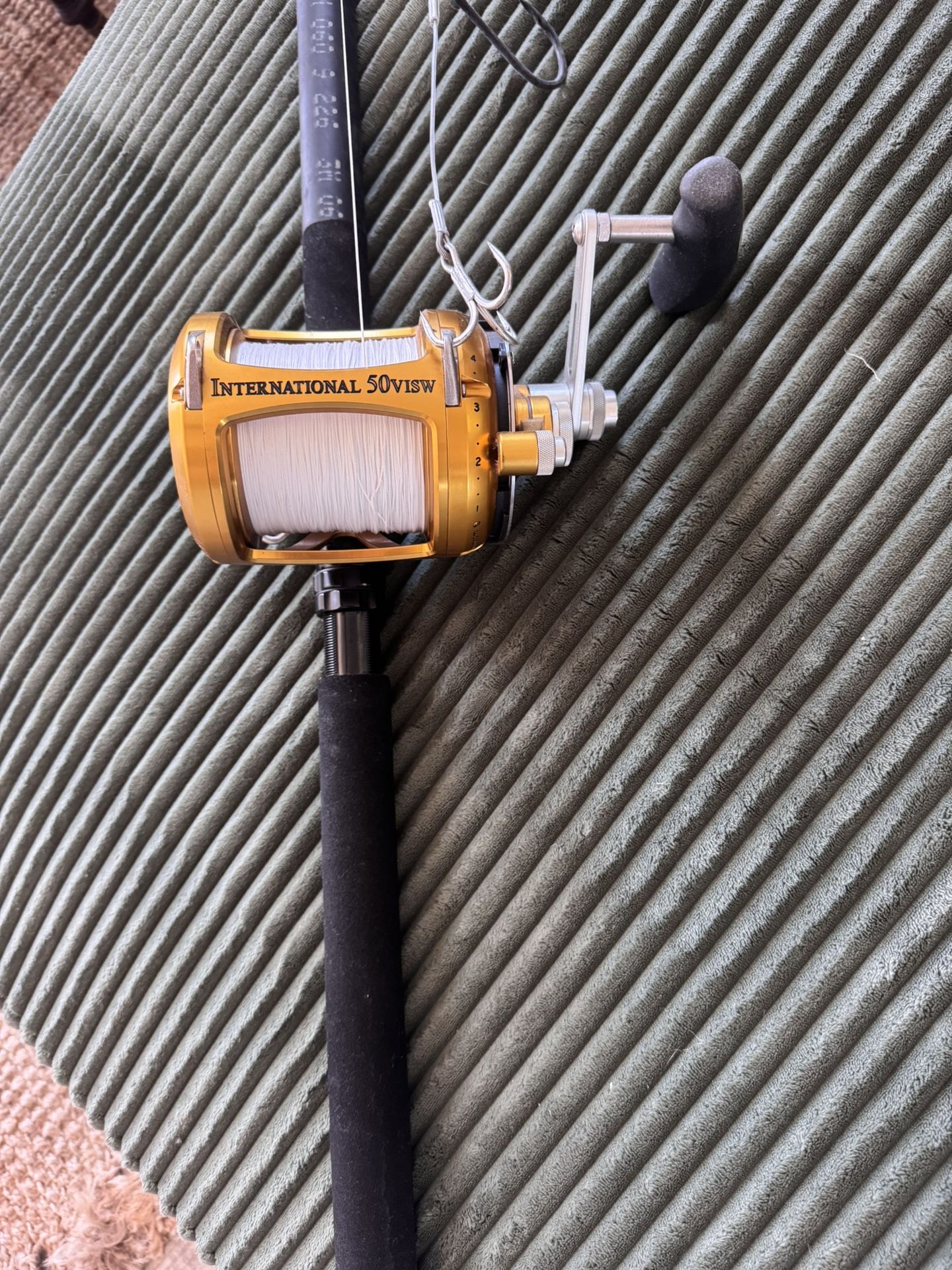 Kite Fishing Setup Rod Reel And Line