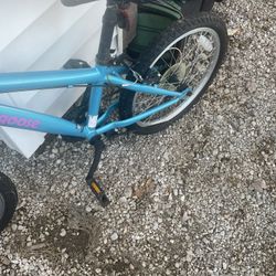 Girls Mongoose Bicycle 