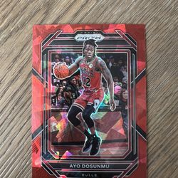 Ayo Dosunmu 2022-23 Panini Prizm Cracked Red Ice #79 Bulls