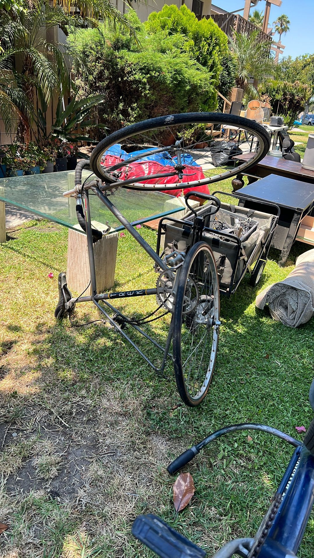 Trek Bike