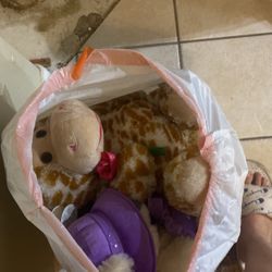 Stuffed Toys FREE