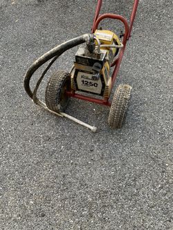 Paint sprayer