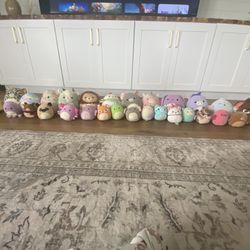 Squishmallows & Stuffed Animals 