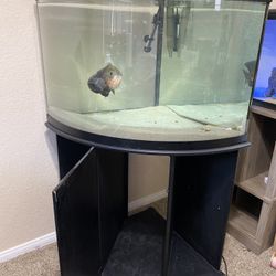 35 Gallon Fish Tank With Stand