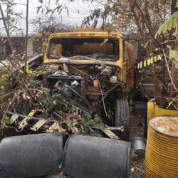 Big Oil Truck Selling The Whole Thing