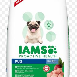 Pug Food Message 