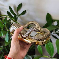 BBW Snake Tray