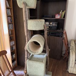 Cat Playground FREE