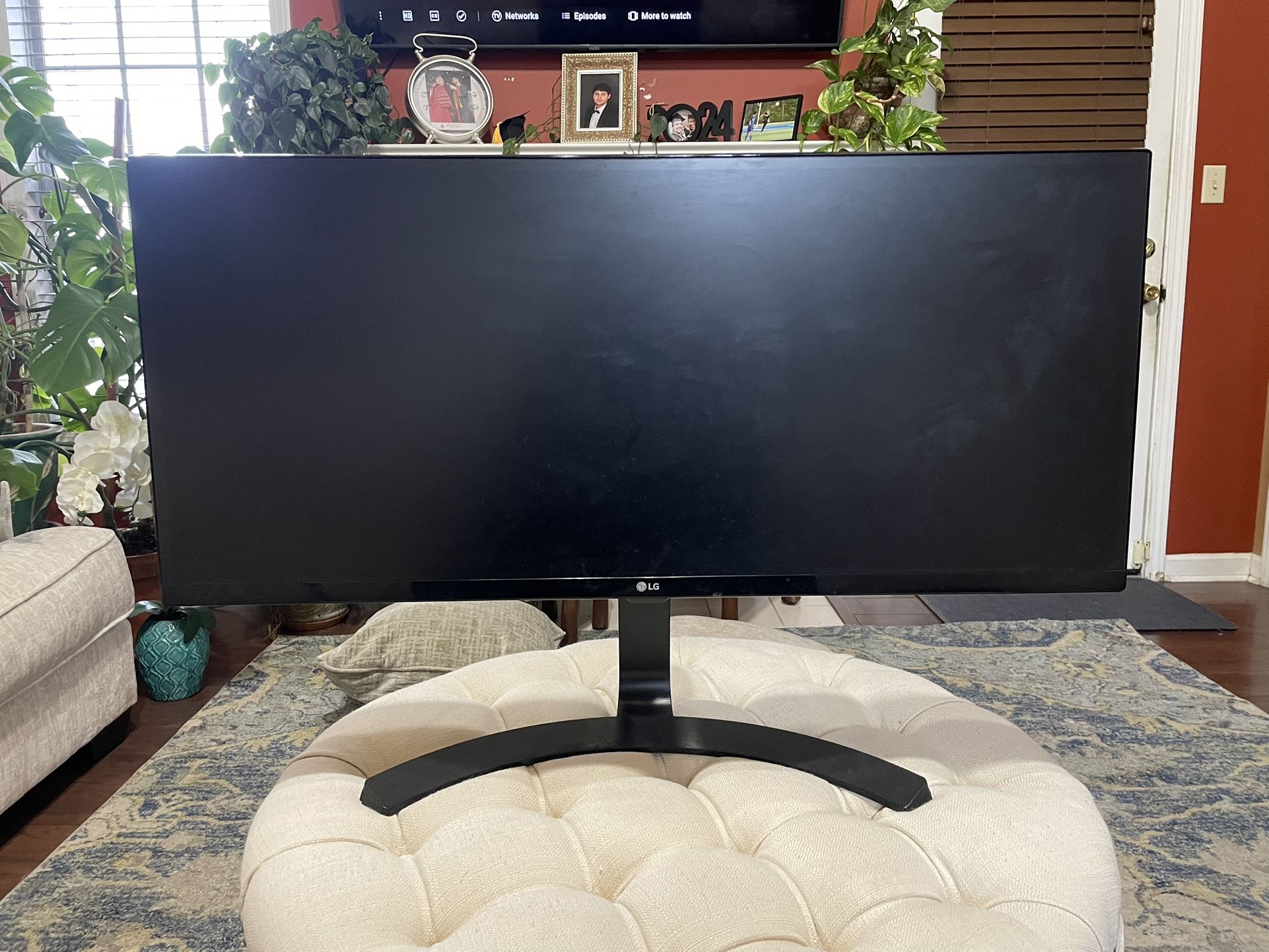 LG 34 Inch Oled Display Monitor Full HD