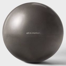 Exercise Ball Gray 75cm