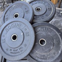 Weight Rogue Bumper Plates 