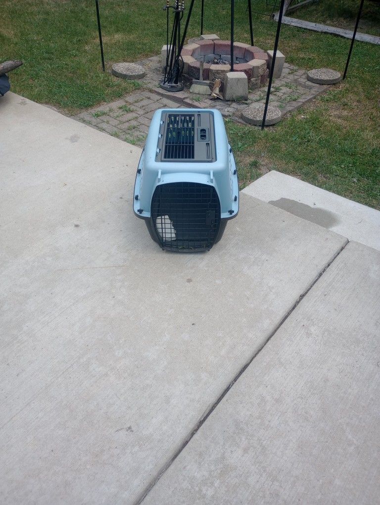 PET Accessories 