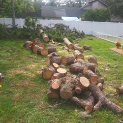 Tree Trimming & Removal