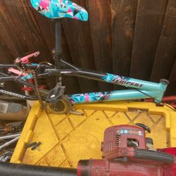 Girls BMX bike frames