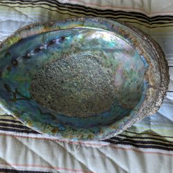 Genuine Abalone Smudging Shell perfect condition