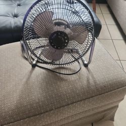 Fan
