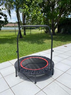 Bouncer/Rebounder