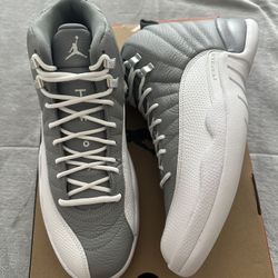 Jordan 12 Stealth Size 10.5