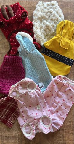 Dog Clothes Bundle