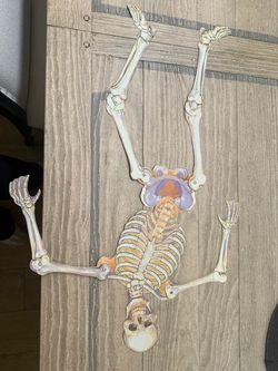 Poseable wall skeleton