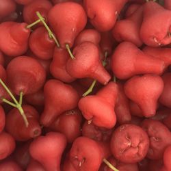 Java Apple / Rose Apple / Wax Apple / Macopa