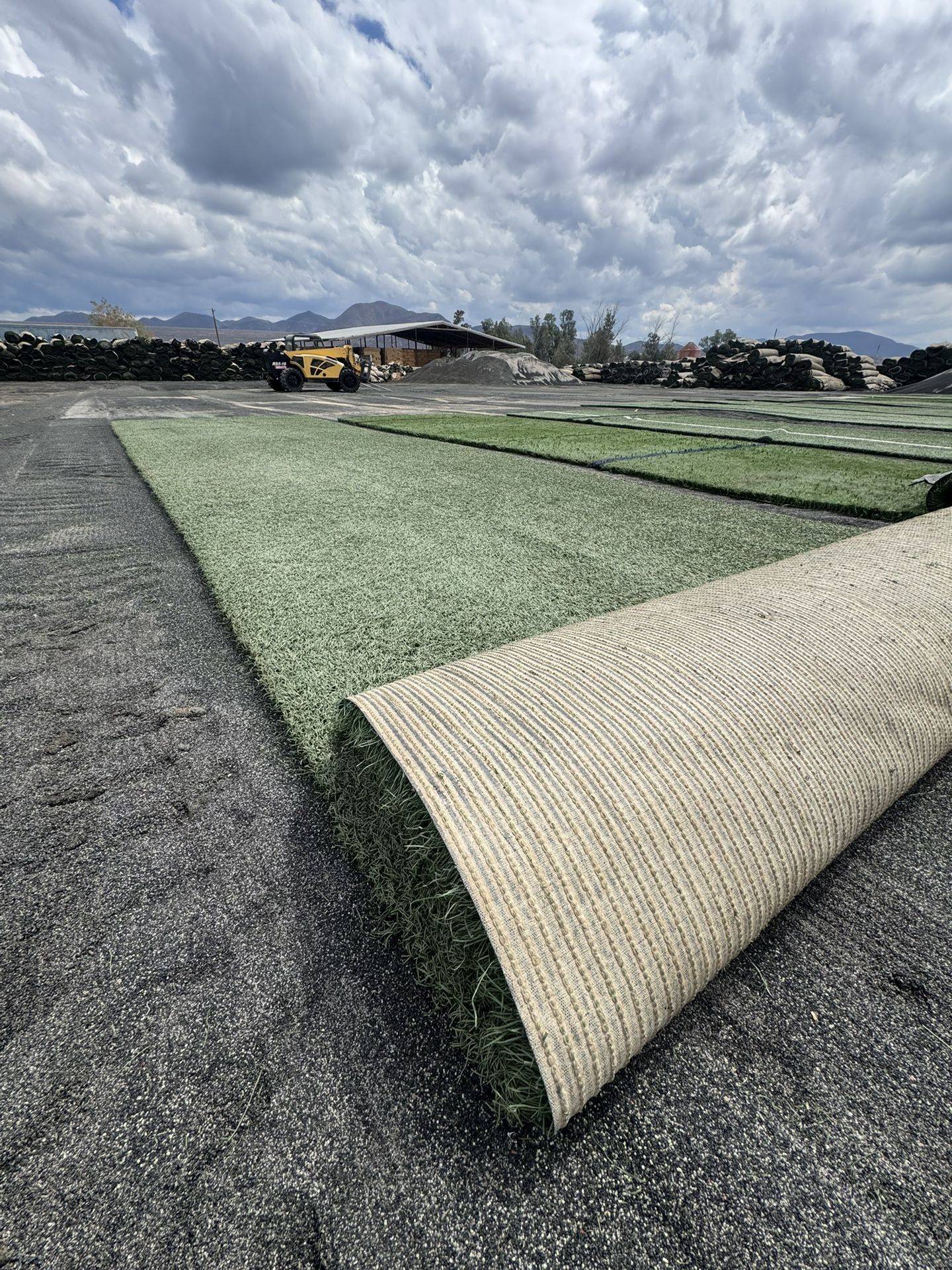 THIS WEEKS SALE - Artificial Grass - new/used