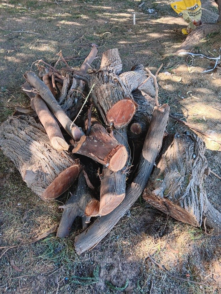 Mesquite
